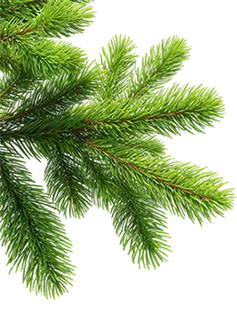 Кровмонтаж-24